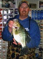 crappie