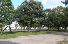 West Park